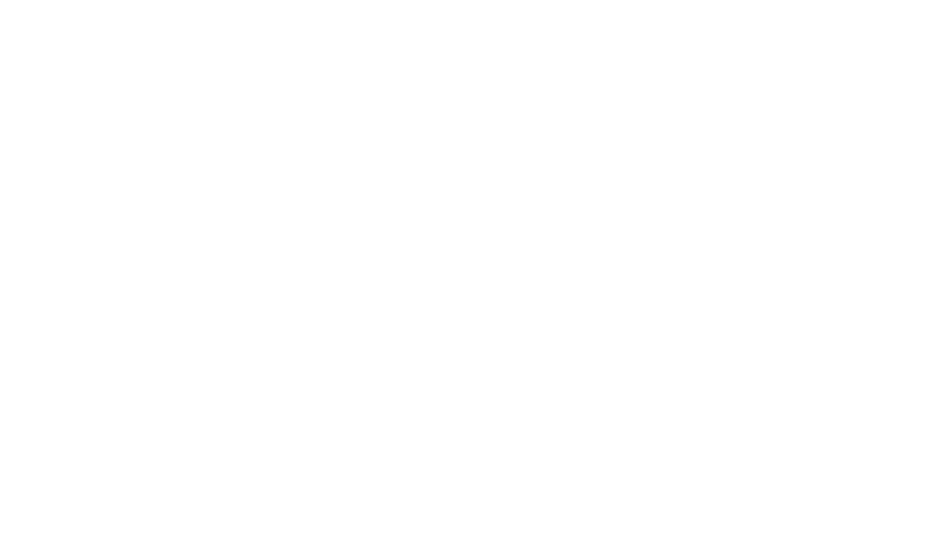 The Car Guy